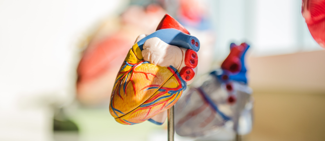 unsplash_Us3AQvyOP-o